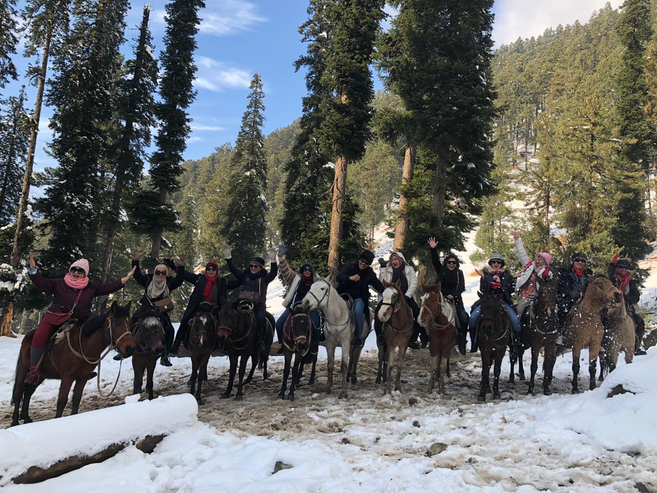 kashmir